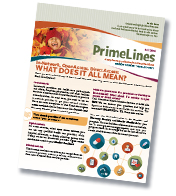 Current PrimeLines issue
